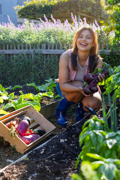 African woman crouching in backyard garden, harvesting beetroots, holding bunch near wooden crate