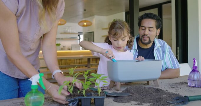 Family child using blue trowel scooping, mother handing plants, father holding planter in kitchen