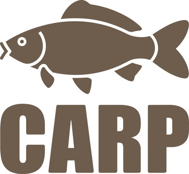 Carp fish vector illustration in flat design style with large bold text below with aquatic and animal