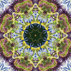Vibrant Tropical Flower Pattern, Abstract Botanical Design with Unusual and Exotic Flora © Designs_by_Habibur