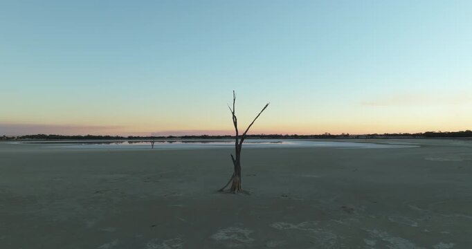 Lone Tree on Pink Salt Lake at Sunset &ndash; Western Australia &ndash; 4K
