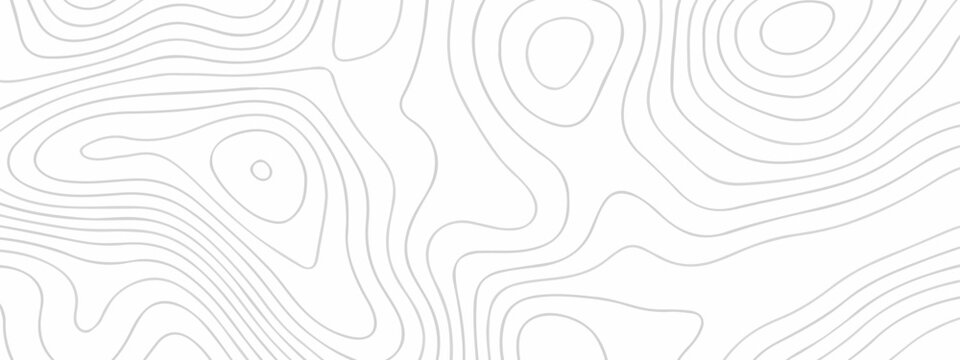 Vector lines seamless pattern sea map topography design. White wave paper curved reliefs Contour maps. Discovery topographic texture backdrop landscape earth style trail map geography design.	