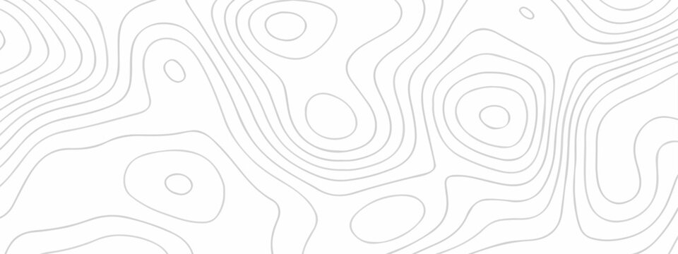 Vector lines seamless pattern sea map topography design. White wave paper curved reliefs Contour maps. Discovery topographic texture backdrop landscape earth style trail map geography design.	