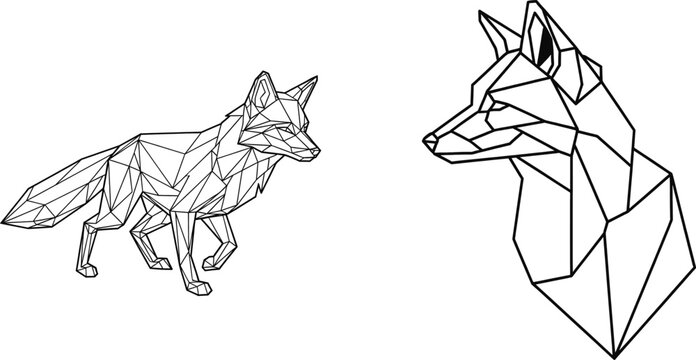 Geometric Fox Line Art Illustration for Endangered Species Awareness