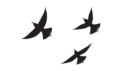 Obraz premium A high-quality hummingbird vector illustration that stands out with its vibrant colors. Perfect for your nature- and bird-themed digital projects, and fully scalable.