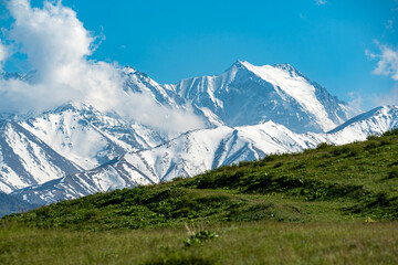 Fototapeta premium Beautiful scenic view of the snow-capped Kyrgyz Ala-Too mountain range against a clear blue sky with green meadows in the foreground, Kyrgyzstan.