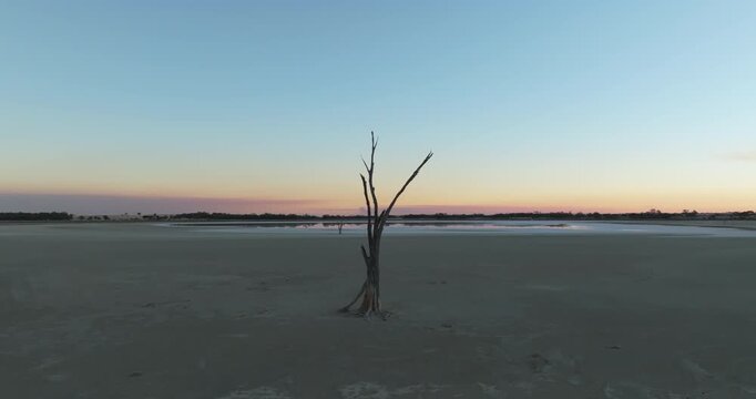 Lone Tree on Pink Salt Lake at Sunset &ndash; Western Australia &ndash; 4K
