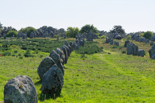 Les alignements de Carnac, en Bretagne, sont un site m&eacute;galithique exceptionnel compos&eacute; de milliers de menhirs &eacute;rig&eacute;s au N&eacute;olithique. Un myst&eacute;rieux t&eacute;moignage monumental unique au monde &agrave; d&eacute;couvrir.