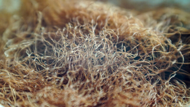 close up of dry brown organic texture resembling tangled roots