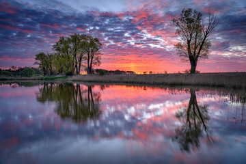 Fototapeta premium Beautiful sunrise over lake in the forest