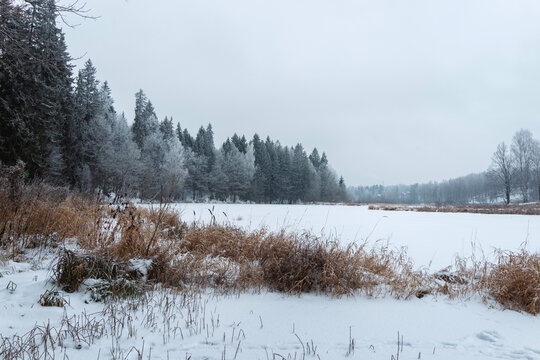 Snow Covers the Ground and Trees Near a Frozen Lake in Winter Landscape in a Forest Setting With Overcast Skies
