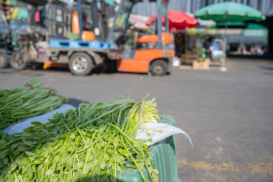 Fresh water dropwort bundles at a traditional wholesale market with a forklift in South Korea
