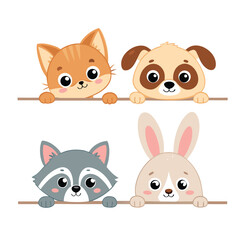 Fototapeta premium Cute peeking animals set with cat, dog, raccoon and rabbit, flat vector illustration of funny pets hiding behind a border for kids