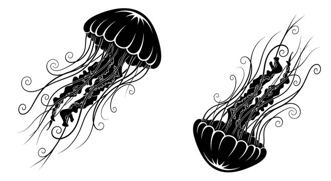 Set of Two Stylized Black and White Jellyfish Silhouettes Floating, Artistic Marine Life Vector Illustration for Tattoo, Logo Design or Print