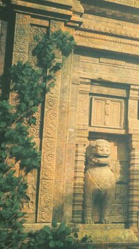 Sunlight gently illuminates a majestic temple wall adorned with intricate stone carvings. Vines gracefully climb its surface, enhancing the beauty of this ancient structure.