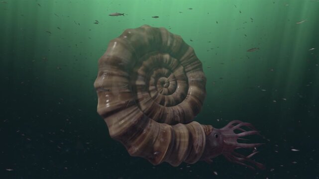 Realistic 3D CGI animation of a prehistoric ammonite swimming in a deep murky ocean with sunbeams and schools of fish.