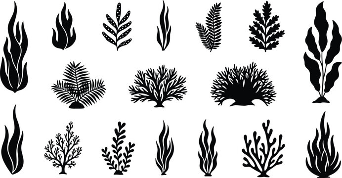 Seaweed and coral silhouettes collection with underwater marine plants black vector illustration set