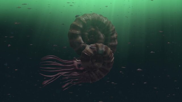 4k 3D CGI animation of a giant prehistoric ammonite swimming in a deep, murky green ocean. The creature features a large spiral shell and long trailing tentacles, surrounded by schools of fish