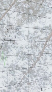 Vertical video: Camera tilting down showing pine trunk charts sliding over % labels showing data