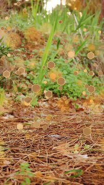 Vertical video: pine holding hex drifting right motion moving wheel rolling rider pedaling to pass