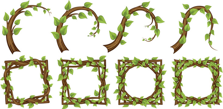 Tree branch frame collection with green leaves and natural botanical borders vector illustration