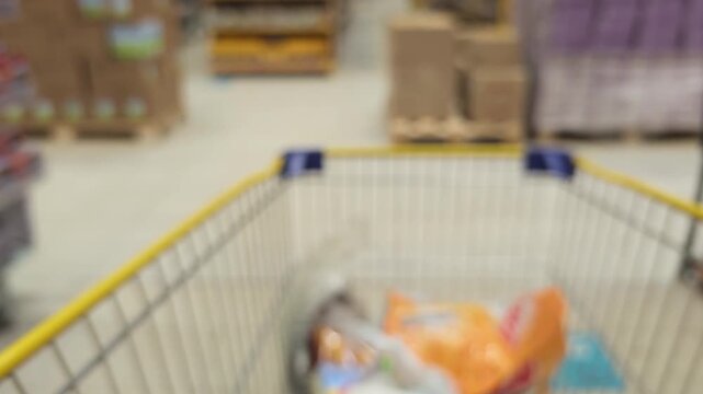 Shopping trip in a grocery store with various items in the cart