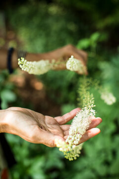 hand holding a bunch of wild flowers
