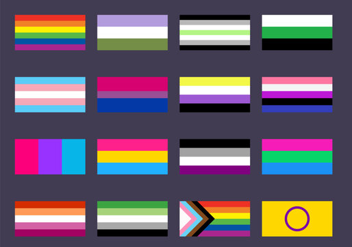 Set of pride flags. LGBTQ Pride Flag Icon Set Collection with Rainbow Transgender Pansexual Bisexual Nonbinary Asexual Queer Flags