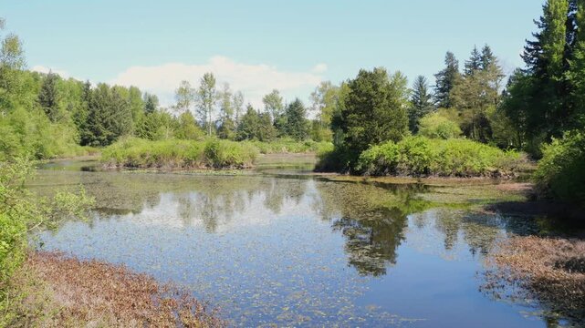Fishtrap Creek Park during a spring season in Abbotsford, British Columbia, Canada