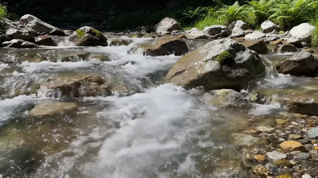 Clear Mountain Stream Flowing Over Rocks in Lush Green Forest 1.