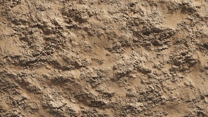 Fototapeta premium Rugged Sandy Terrain Texture