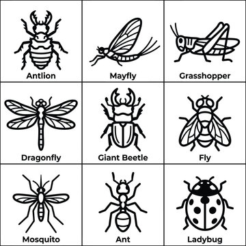 Insects and bugs are shown in various illustrations together outdoors.