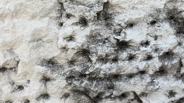 Extreme close-up of white rough stone surface with heavy black mold colonies and dark fungal growth showing severe moisture contamination and deterioration
