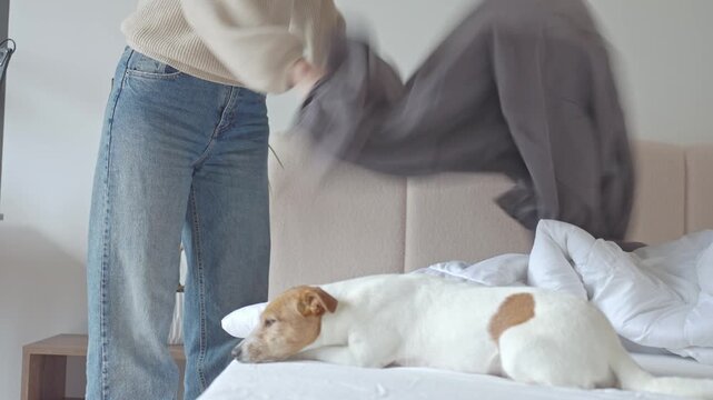 Woman places duvet into dark cover while small dog lies on bed in bedroom. Bedding change, home routine, and pet friendly lifestyle concepts