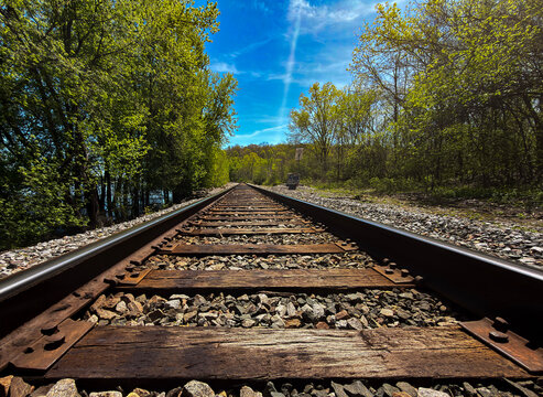 Railroad Tracks Perspective Through Forest Landscape with Blue Sky Scenic Railway Line Travel Transportation Nature Background Photography