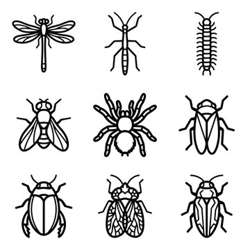 Insects like dragonfly, caterpillar, spider, fly, and beetle are illustrated