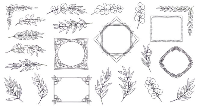 Collection of decorative floral frames and botanical elements