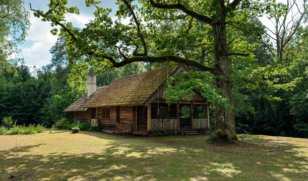 Traditional wooden log cabin in a lush Estonian forest during summer