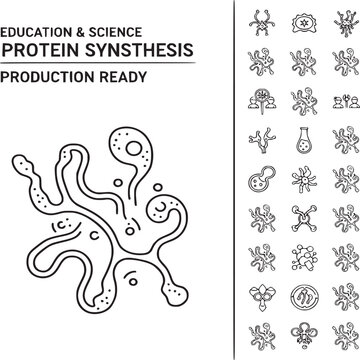 detailed protein synthesis illustration for educational science materials and biology textbooks