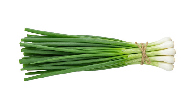 Fresh Green Onions Scallions Bundle Isolated PNG with Transparent Background