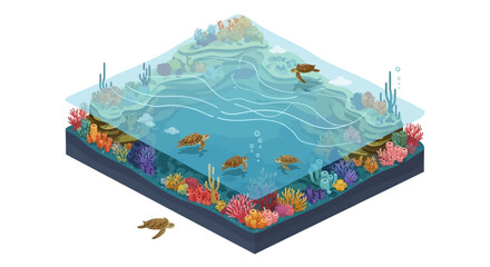 Isometric illustration showing sea turtles swimming in clear blue ocean waters above a vibrant coral reef, depicted with bright colors and a layered perspective against a clean, isolated © Jangkrik