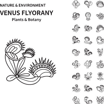 Venus flytrap botanical illustration with insect prey and nature icons set