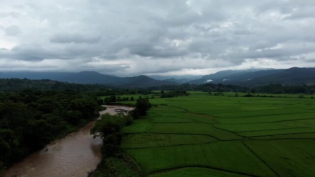 Pemandangan Udara Sawah Hijau dan Aliran Sungai dengan Latar Belakang Pegunungan di Bawah Langit Mendung