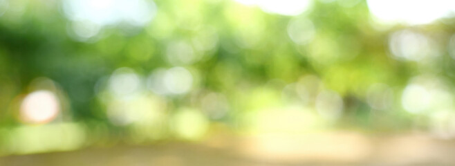 Naklejka premium Banner Blur background green park garden nature bright sunny forest. Blurry outdoor park in spring time glowing shinny day template sunlight bokeh. Abstract blurred background banner with copy space