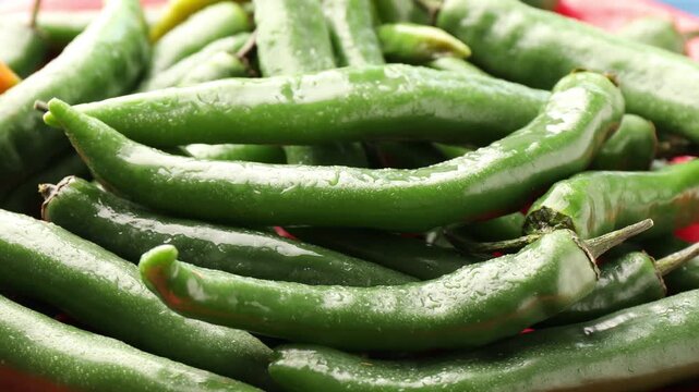 Fresh green chili peppers with water drops, closeup