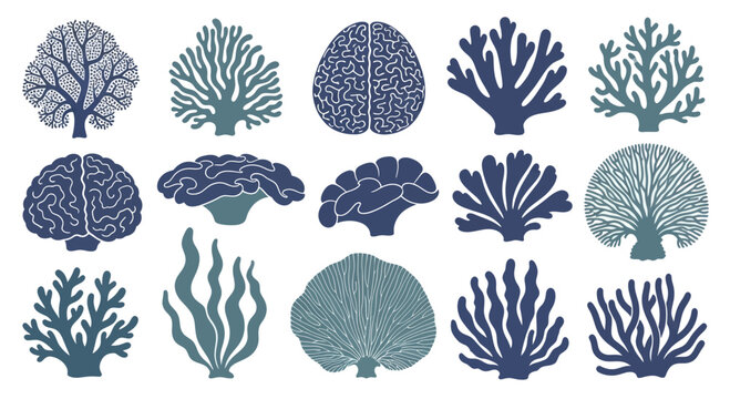 Collection of Brain and Coral Illustrations in Blue Tones.