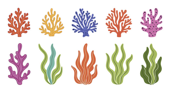 Collection of colorful coral and seaweed illustrations.