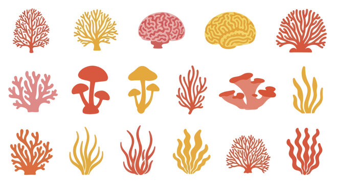 Collection of colorful coral reef and brain coral illustrations.