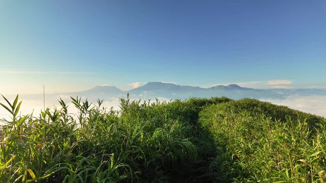 大観峰から見える阿蘇五岳と雲海