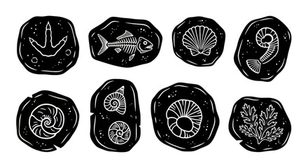 Collection of ancient fossils and imprints on dark stones. © Yuni